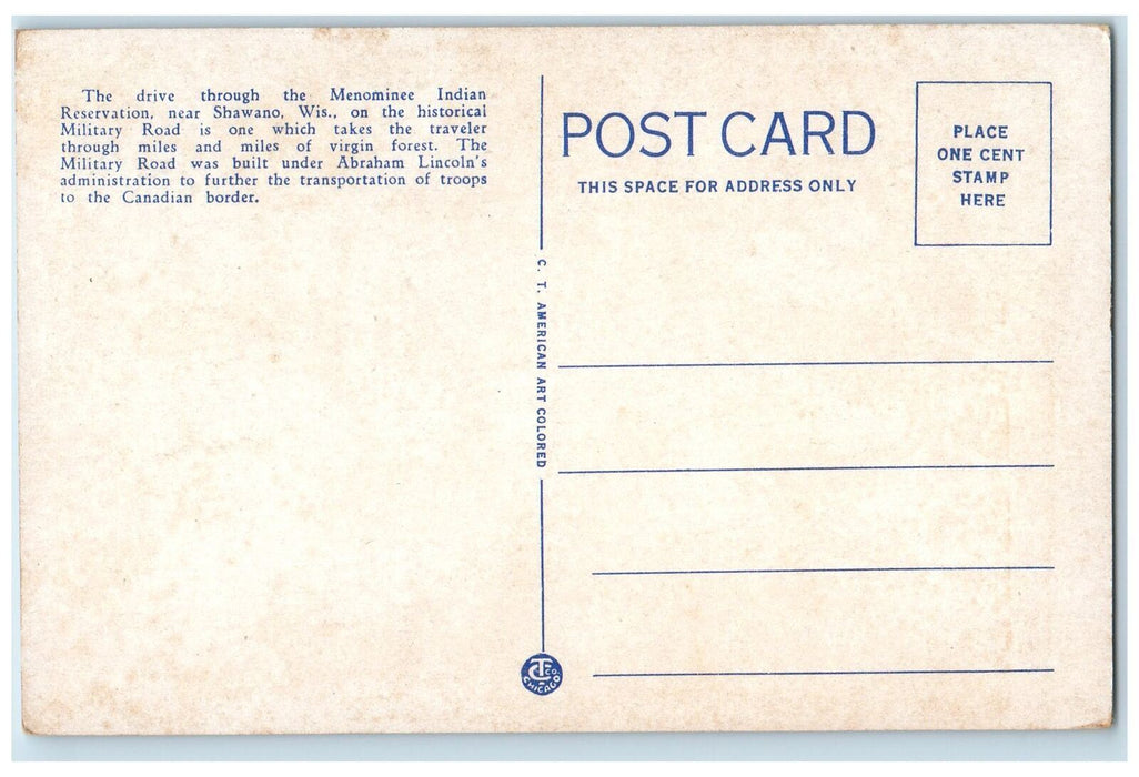 Pine Row On Highway 55 North Of Shawano Menominee Indian Reservation WI Postcard