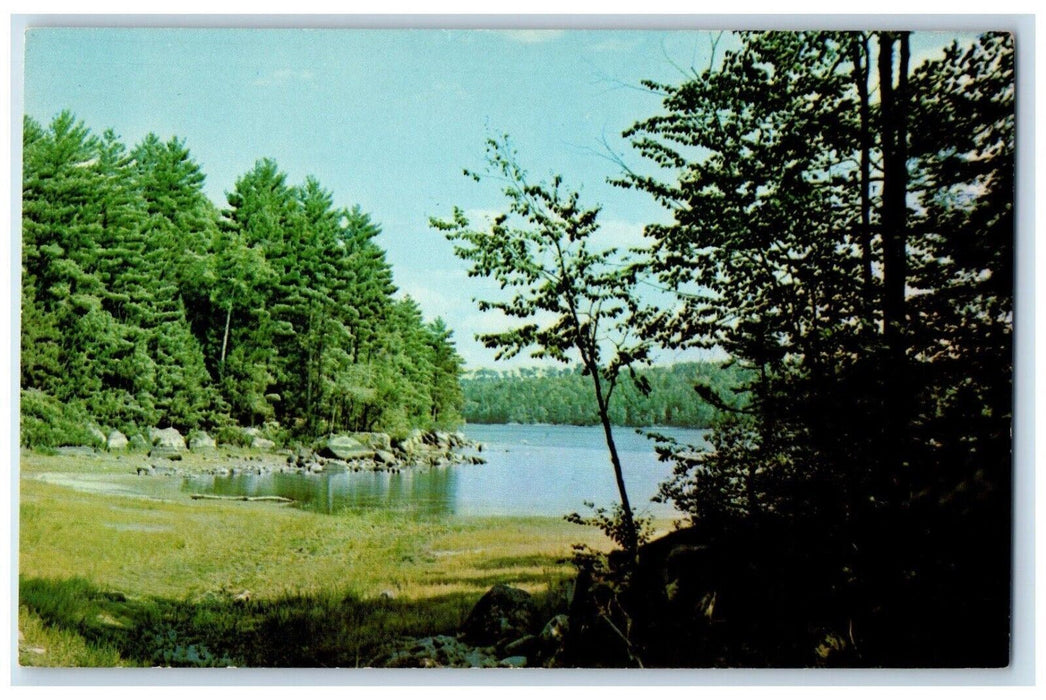 Greetings From Crystal Spring Pennsylvania PA, River View Vintage Postcard