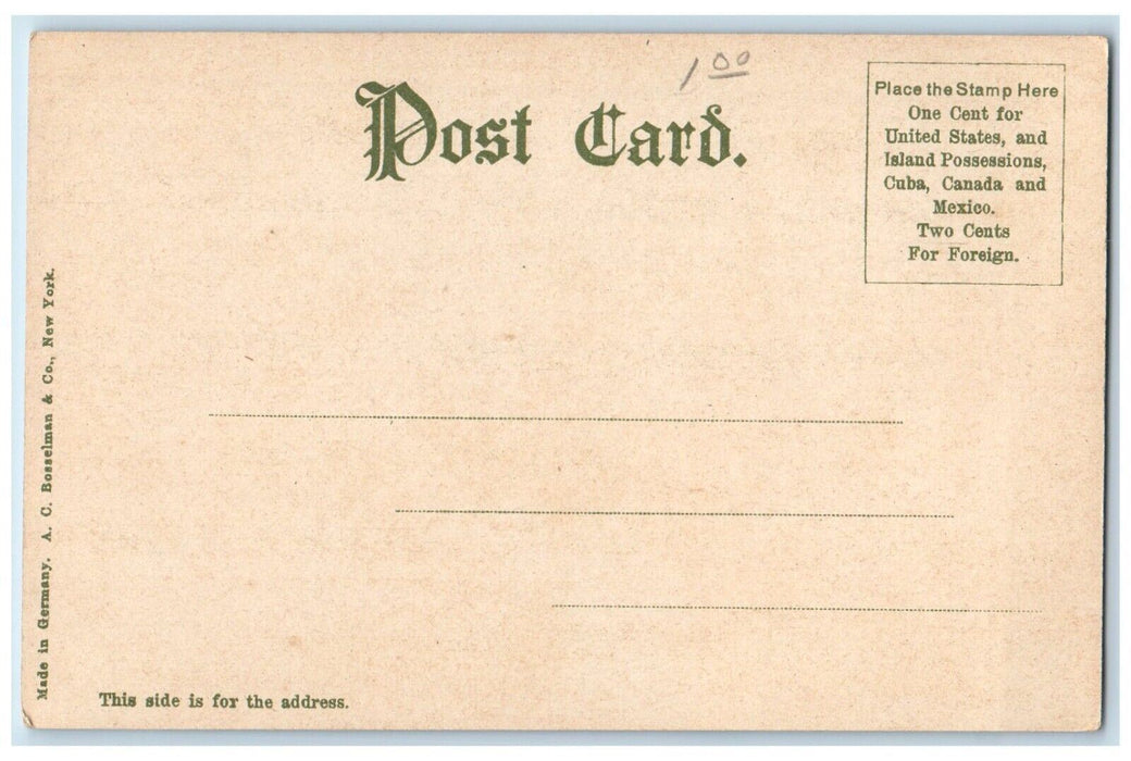 c1905 Christ Episcopal Church And Rectory Poughkeepsie New York NY Postcard