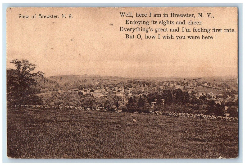 1909 View Well Here I am Enjoying Sights Cheer  Wish Brewster New York Postcard