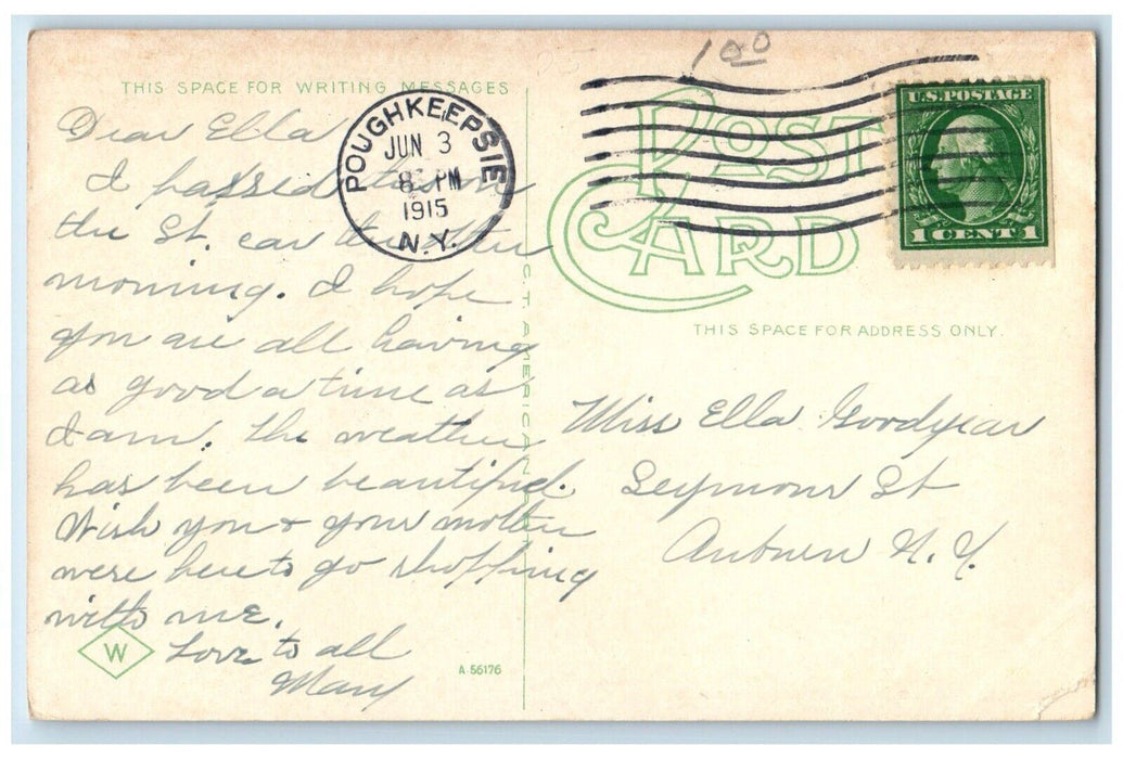 1915 College Hill Park Poughkeepsie New York NY, Childrens Antique Postcard