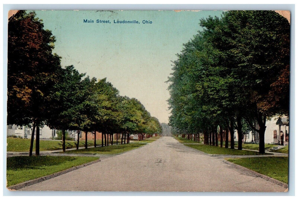 1910 View Of Main Street Road Tree Lined Loudonville Ohio OH Antique Postcard