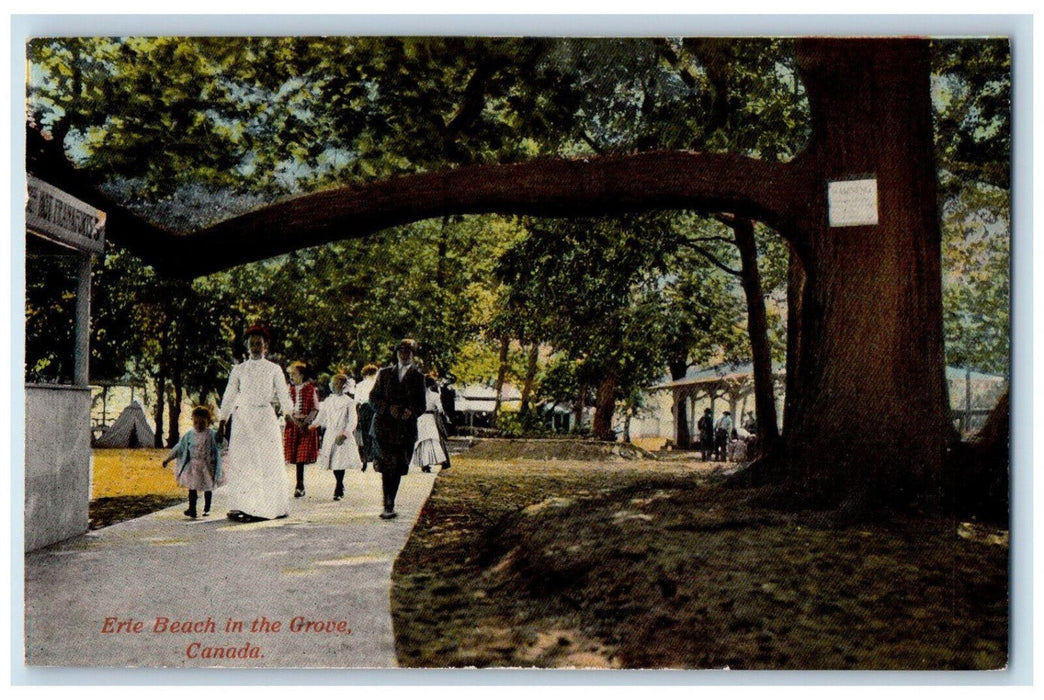 c1910's Big Tree, Walking Scene, Erie Beach in the Grove Canada Postcard