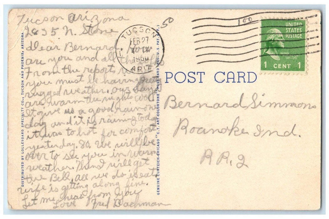 1950 Barrel Cactus Visnaga On The Desert Tucson Arizona AZ Vintage Postcard