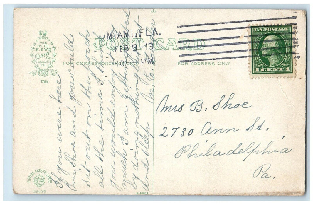 1913 View Of Wild Ducks On A Florida River Miami FL Posted Antique Postcard