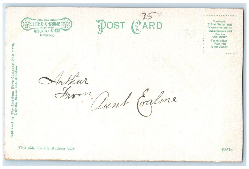 c1905 View On The Neversink River Boat Port Jervis New York NY Antique Postcard