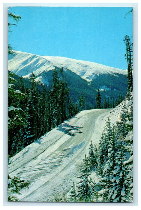 Approach To Summit Of Berthoud Pass From West Winter Snow Colorado CO Postcard