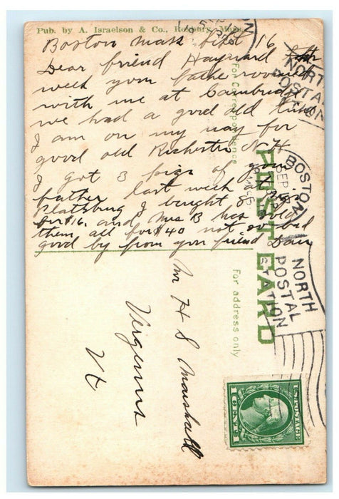 1916 Sheep Feeding In Franklin Park Boston Massachusetts MA Antique Postcard