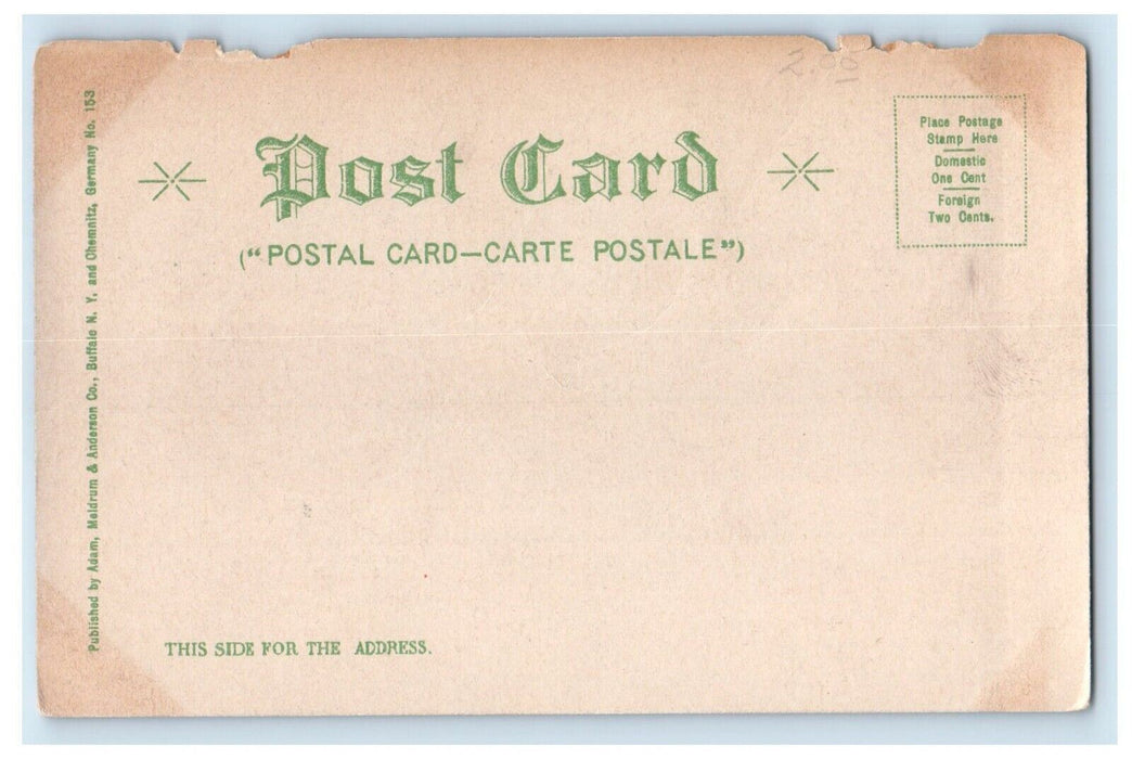 c1905 Delaware Avenue From The Mc. Kinley Monument Car Buffalo NY Postcard