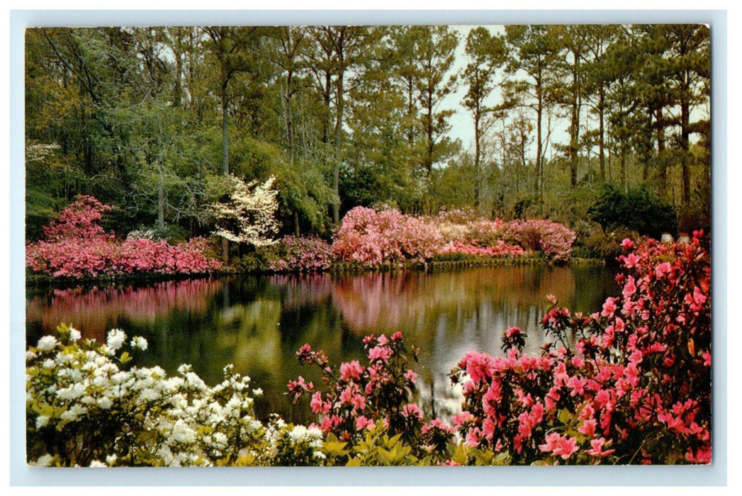 c1950s Mirror Lake, Bellingrath Gardens Mobile Alabama AL Unposted Postcard