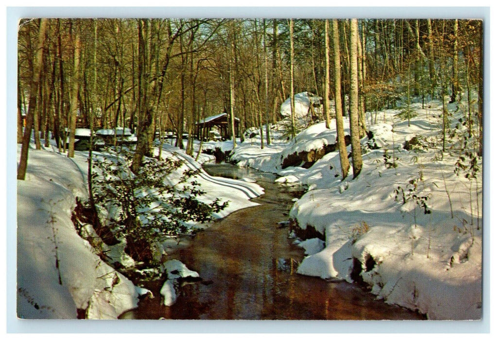 c1960's Natural Bridge Of Alabama AL, Snow Winter Scene Vintage Postcard