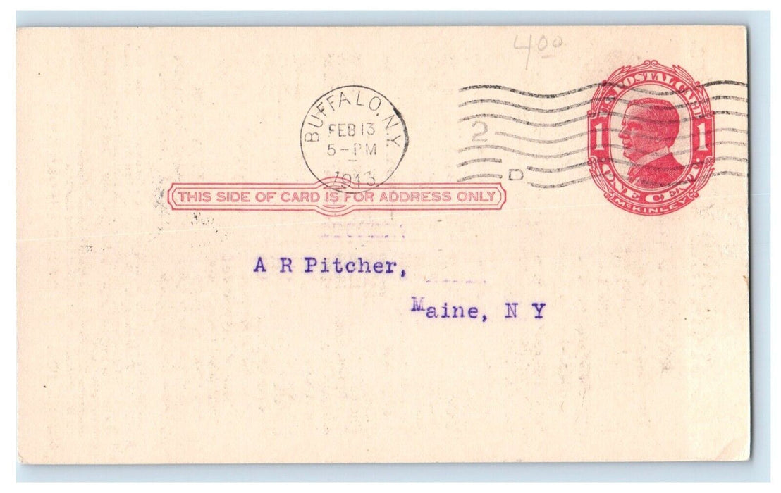 1913 The Stanford Seed Co. Inc. Wholesale Seeds Advertising Buffalo NY Postcard