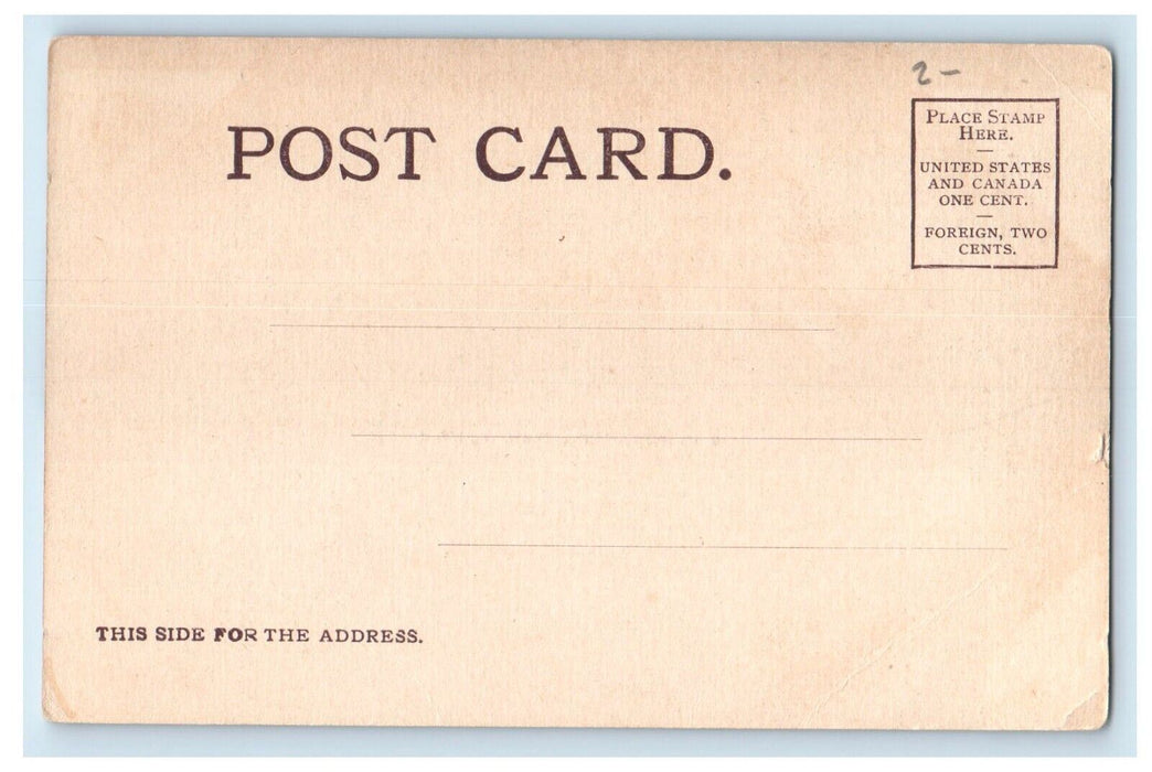 c1905 Bird's Eye View Winona Minnesota MN Unposted Antique Postcard