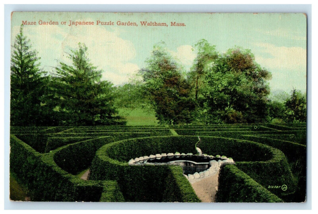 c1910's Maze Garden Of Japanese Puzzle Garden Waltham Massachusetts MA Postcard