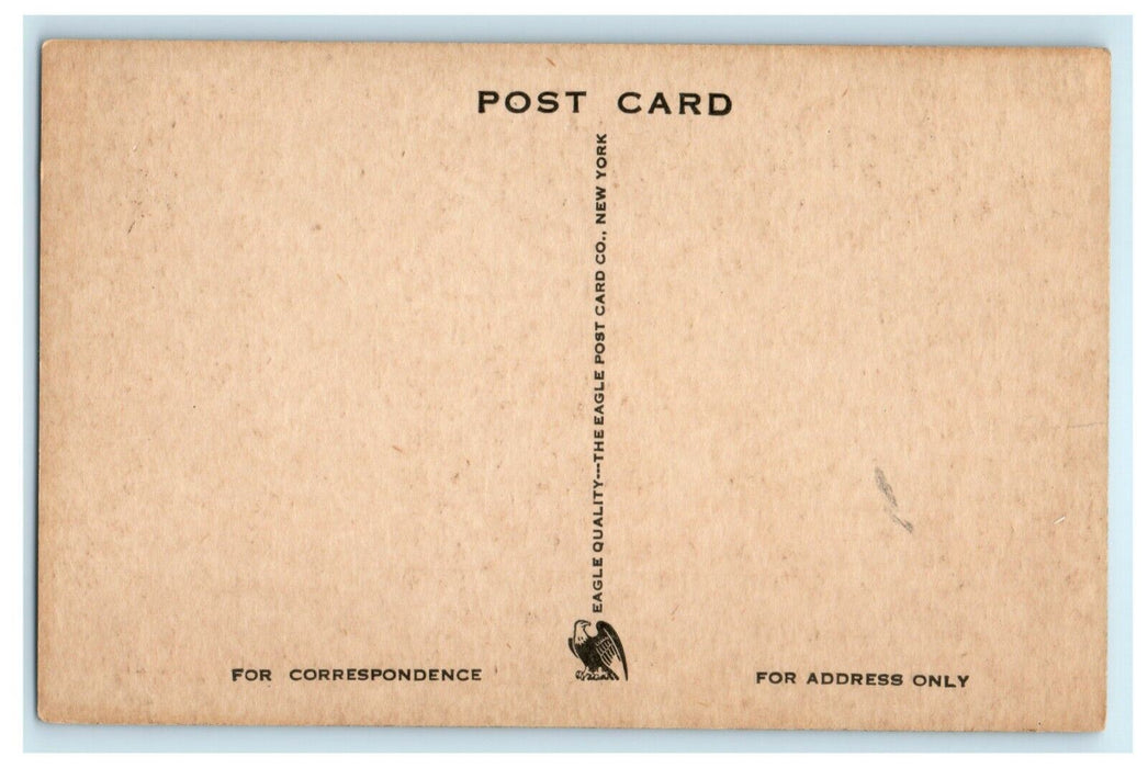 c1910 Holder Tower Princeton University New Jersey Unposted Antique Postcard