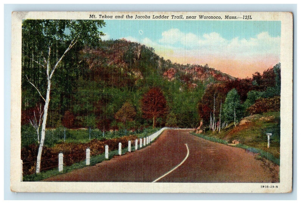 1944 Mt. Tekoa Jacobs Ladder Trail Near Woronoco Massachusetts MA Postcard