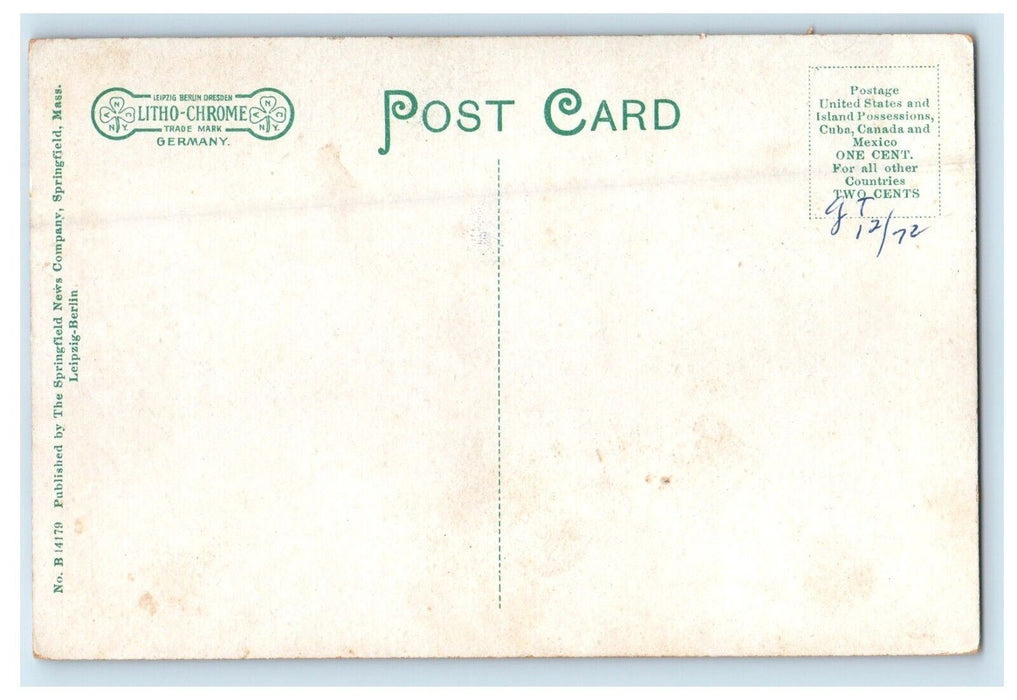 c1910's The High Street Tree Lined Turners Falls Massachusetts MA Postcard