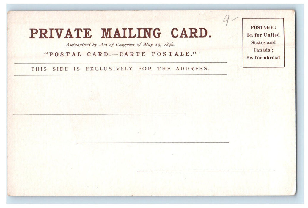 c1900s Sayles Memorial Hall and Wilson Hall Brown University RI PMC Postcard