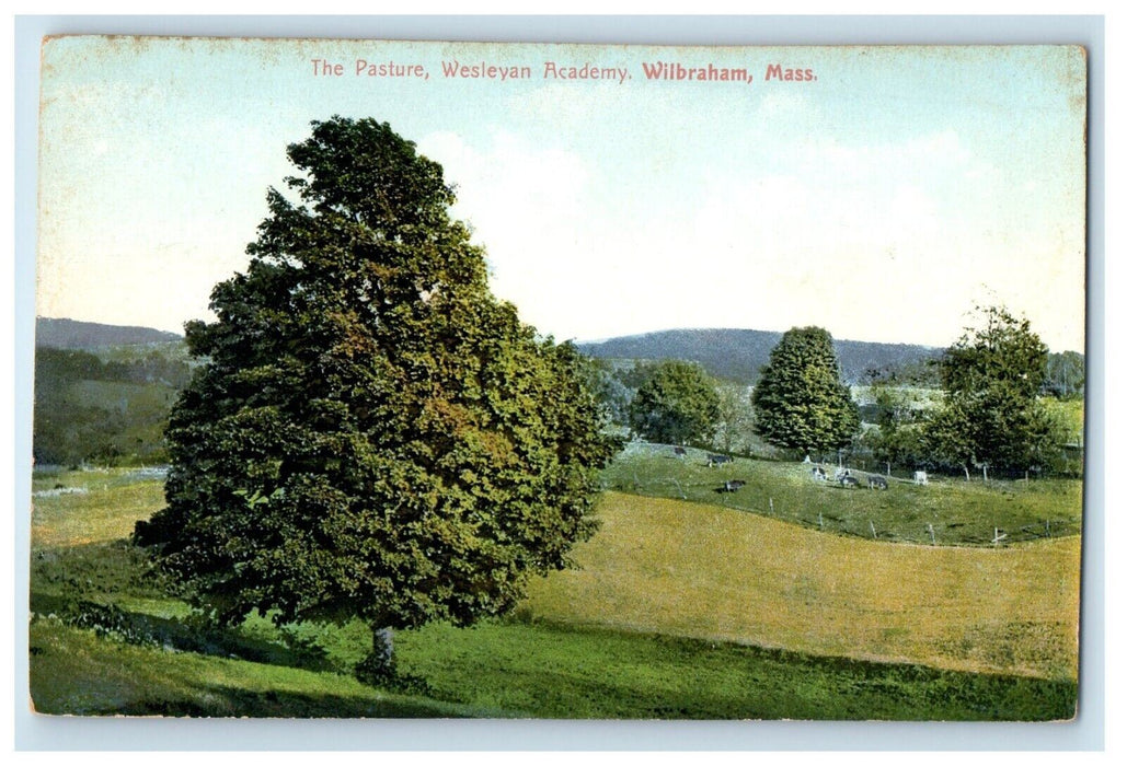 c1910's The Pasture Wesleyan Academy Wilbraham Massachusetts MA Postcard