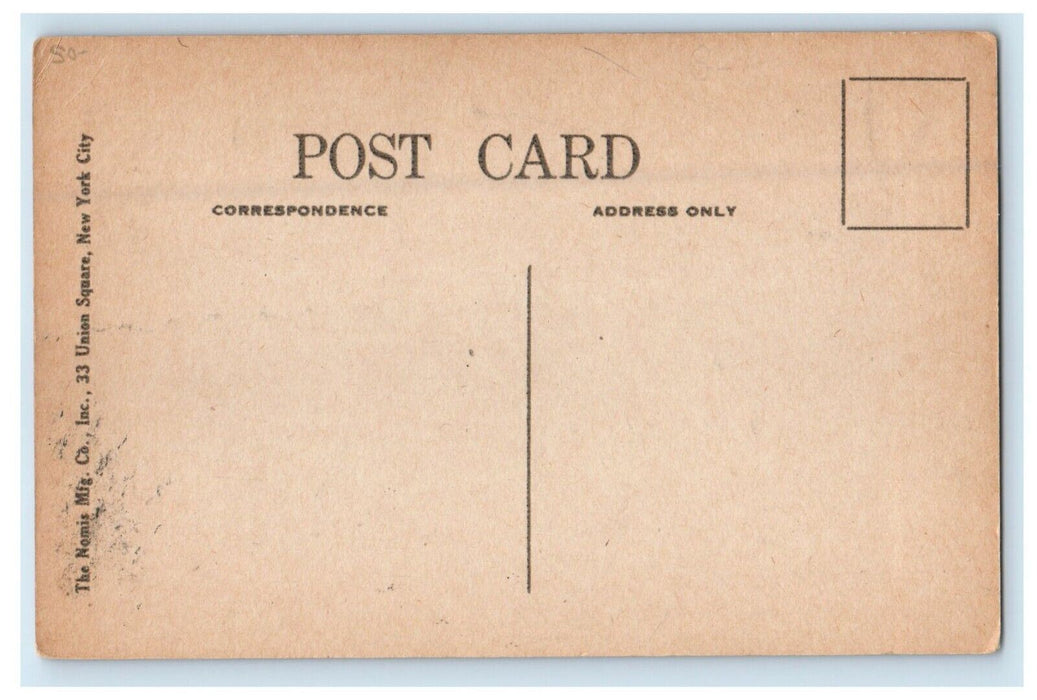 c1910's Indian Valley Inn Car Kerhonkson New York NY Unposted Antique Postcard