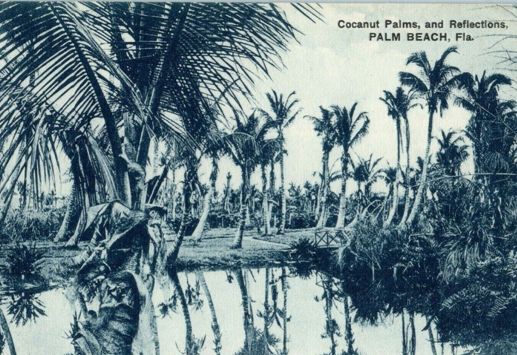 c1910 Coconut Palms and Reflections Palm Beach Florida FL Postcard