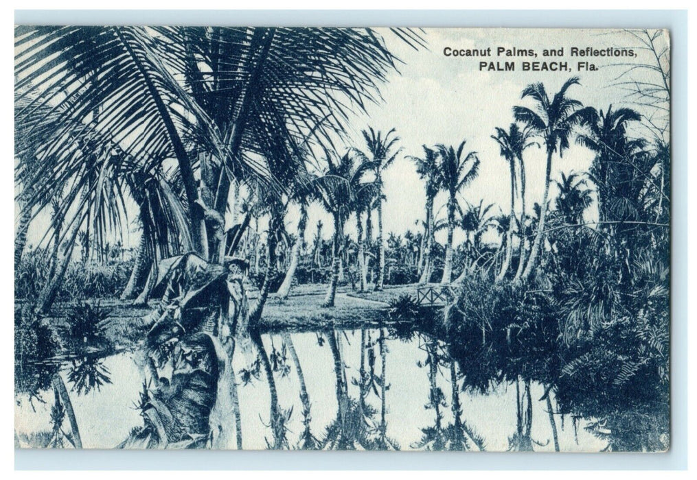 c1910 Coconut Palms and Reflections Palm Beach Florida FL Postcard
