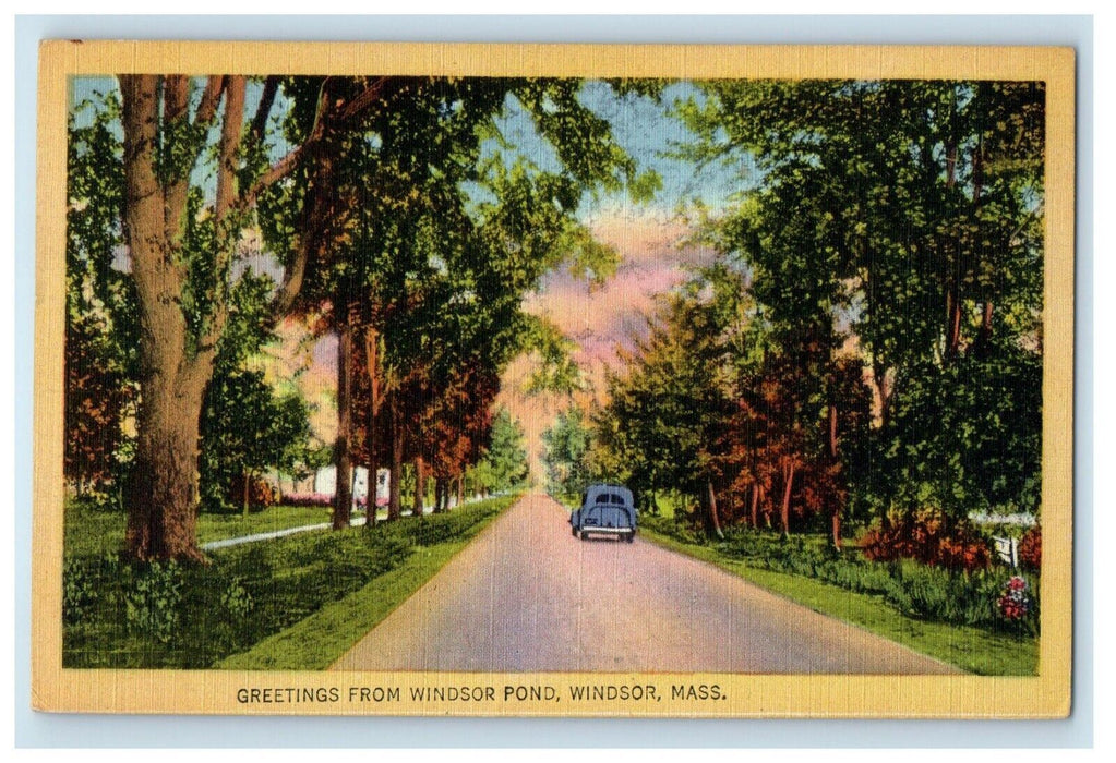 Greetings From Windsor Pond, Windsor Massachusetts MA, Road Car View Postcard