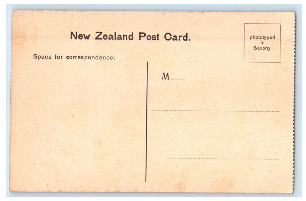 c1910s Tea Kiosk Domain Te Aroha New Zealand NZ Unposted Antique Postcard