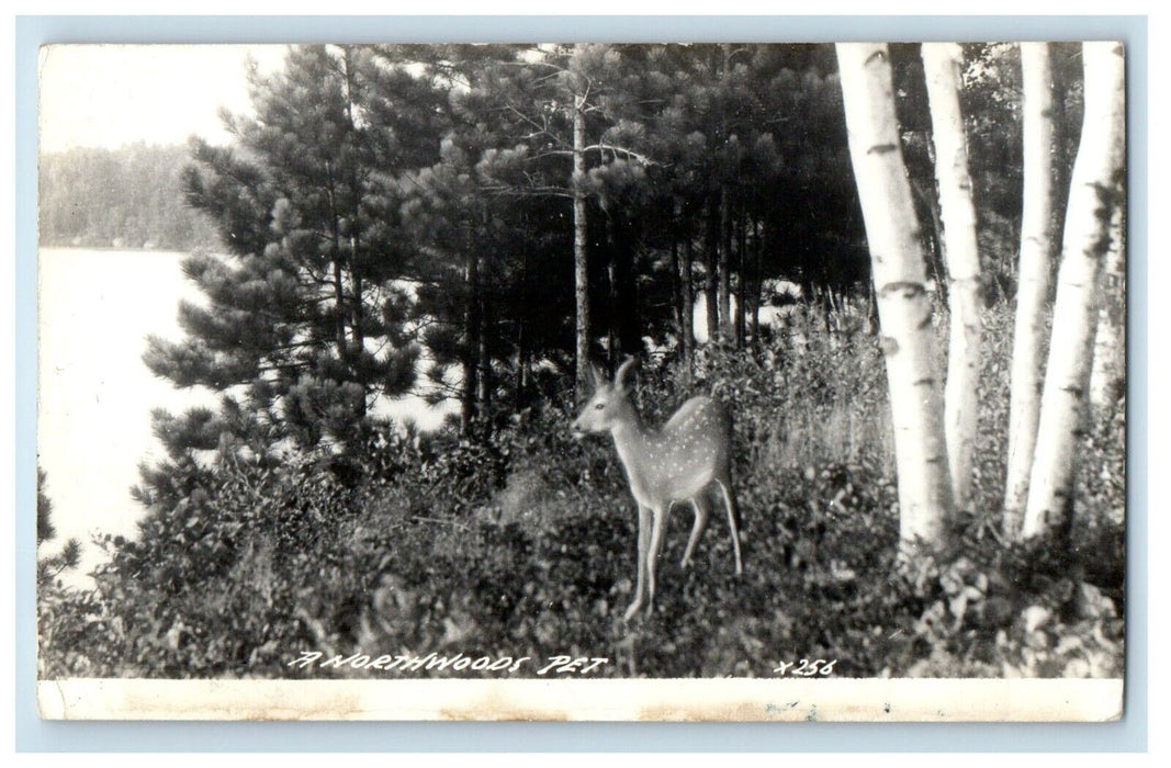 1950 Greetings From Hayward Wisconsin WI, A Northwood Pet RPPC Photo Postcard