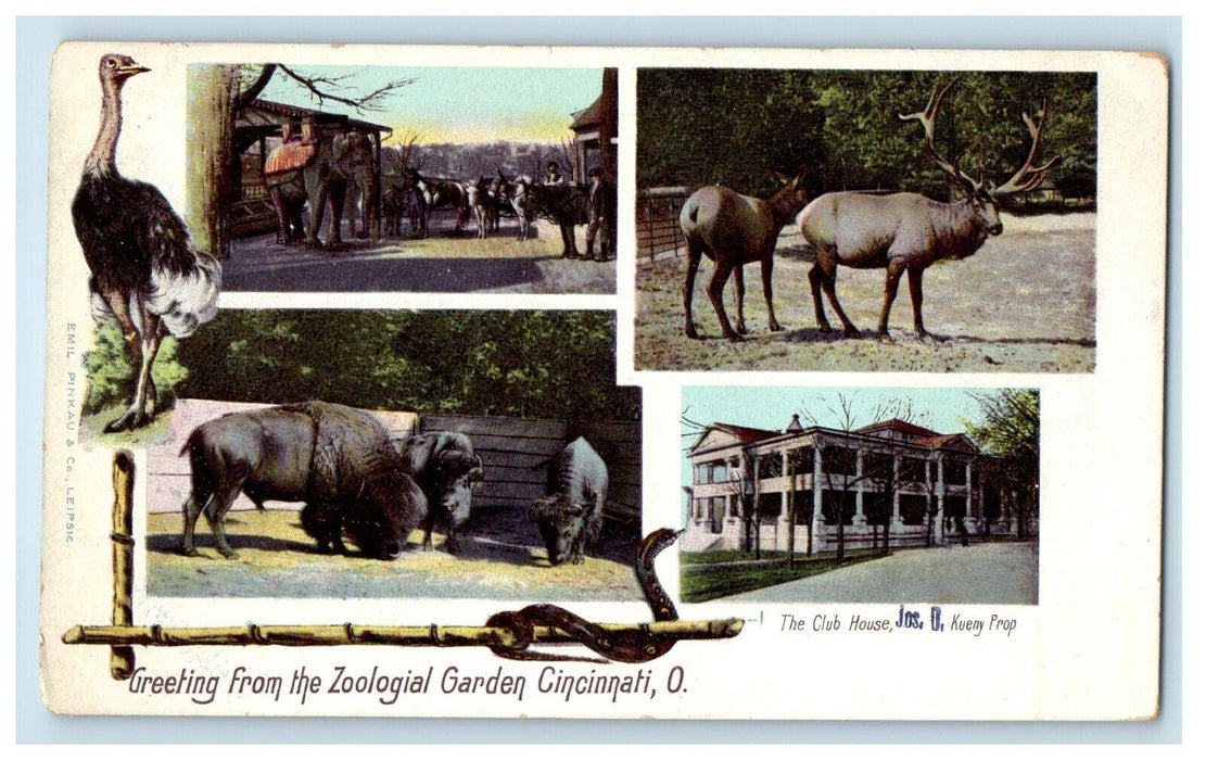 c1900s Greeting from the Zoological Garden, Cincinnati Ohio OH PMC Postcard