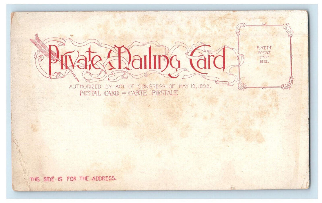 c1900s Delaware River from the Bluff, Milford PA Unposted Antique PMC Postcard