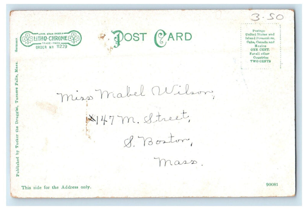 c1905 The Long Jam Waterfalls Turners Falls Massachusetts MA Antique Postcard