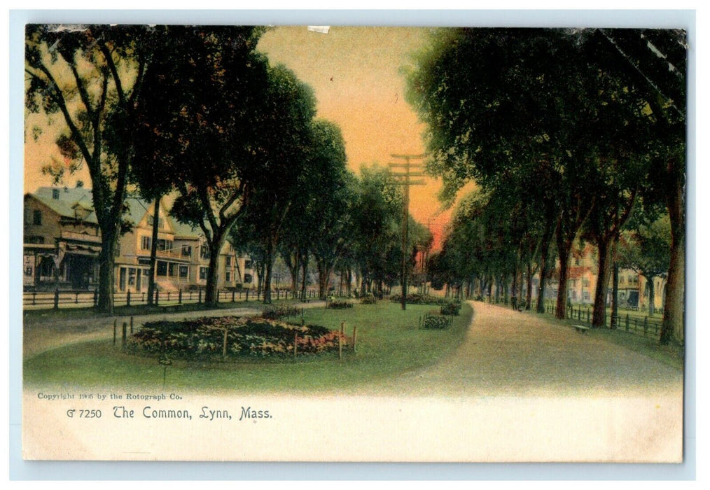 c1905 View Of The Common Lynn Massachusetts MA Unposted Rotograph Postcard