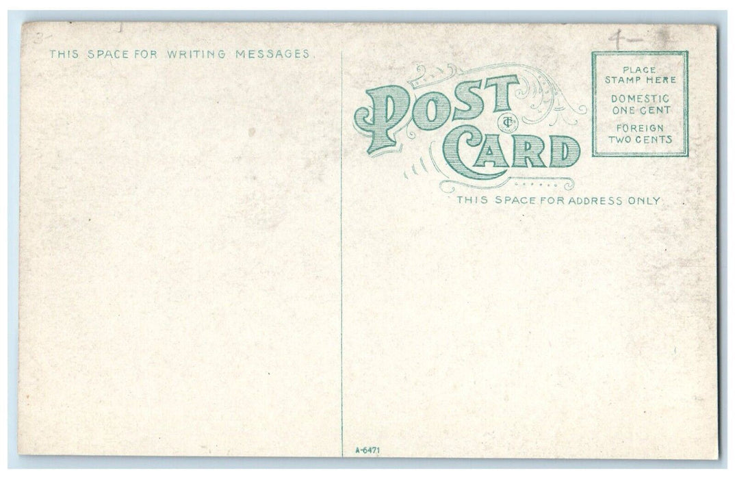 c1910's Steamer Ship Northwest Buffalo New York NY Unposted Antique Postcard