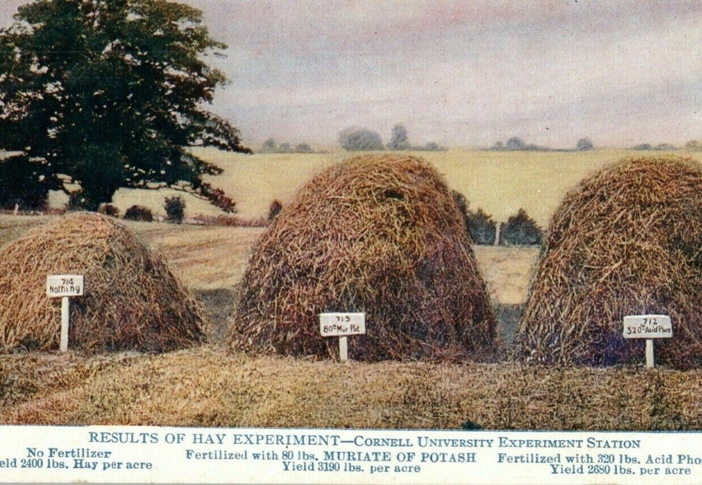 c1910 Fertilizer Advertising hay Forming German Kali Works New York NY Postcard