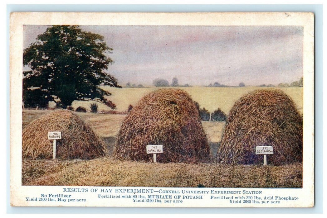 c1910 Fertilizer Advertising hay Forming German Kali Works New York NY Postcard