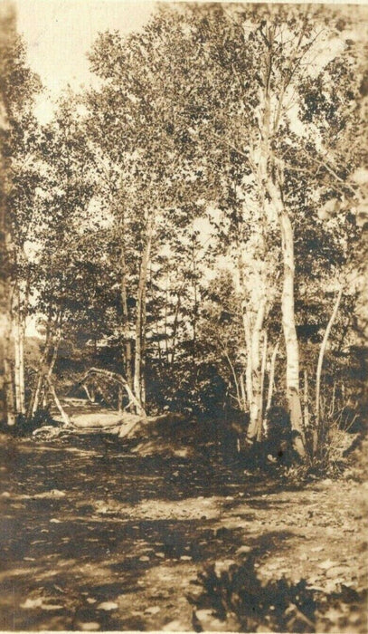 1923 Camden Maine ME Forest Scene Ravenna Ohio OH RPPC Photo Posted Postcard