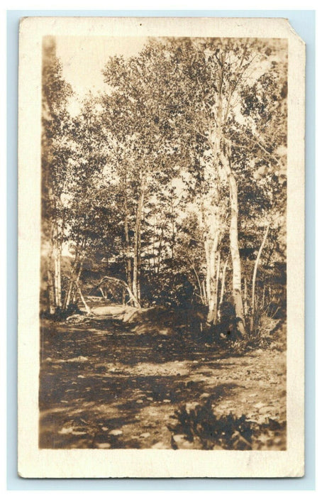 1923 Camden Maine ME Forest Scene Ravenna Ohio OH RPPC Photo Posted Postcard