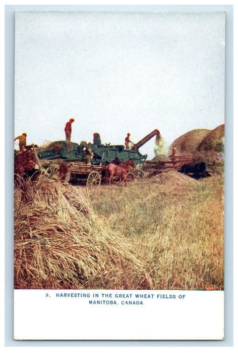 c1910 Harvesting in the Great Wheat Fields of Manitoba Canada CA Postcard