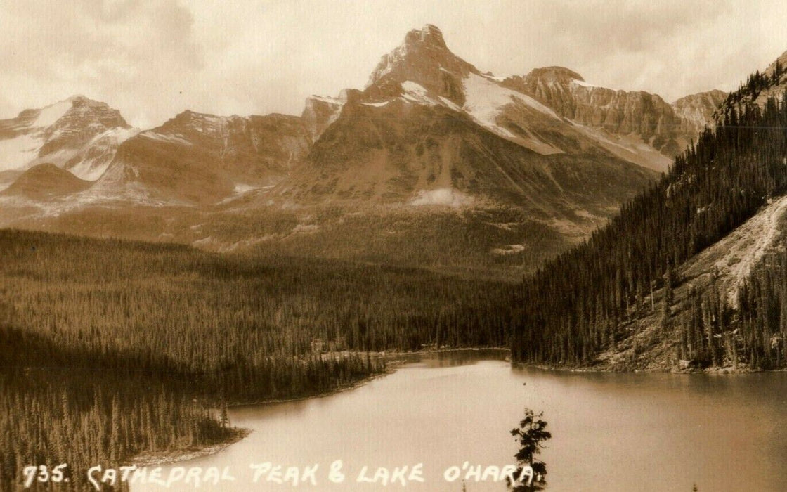 c1910 Cathedral Peak & Lake O'Hara RPPC Photo British Columbia Canada Postcard