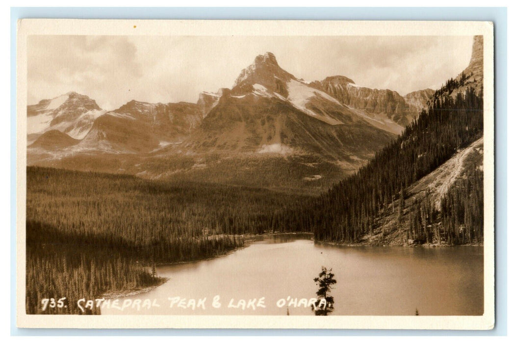 c1910 Cathedral Peak & Lake O'Hara RPPC Photo British Columbia Canada Postcard
