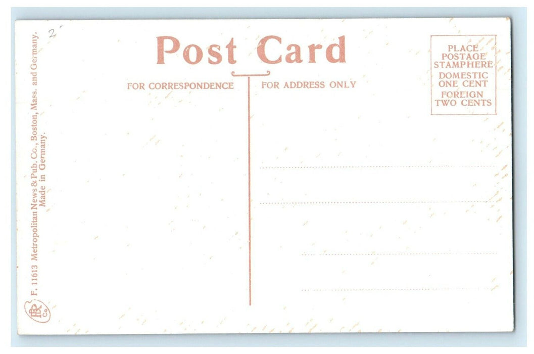 c1910 Log Cabin Front View Pine Bank Park Malden Massachusetts MA Postcard