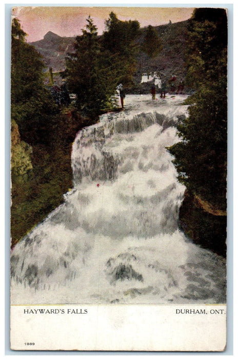 1906 Hayward's Falls Durham Ontario Canada Antique Posted Postcard