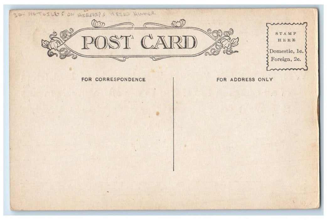 c1910's Petition No Toilets On Airships Weird Humor Unposted Antique Postcard