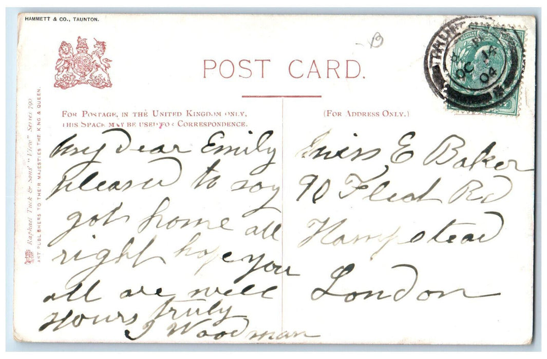 1904 Business Section Forest Street Taunton MA View Tuck Art Antique Postcard