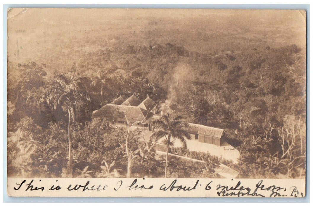 1905 Birds Eye View Home Residence Palm Trees Jamaica RPPC Photo Posted Postcard