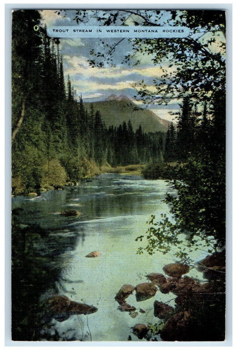 1965 Scenic View Of Trout Stream In Western Montana Rockies MT Vintage Postcard