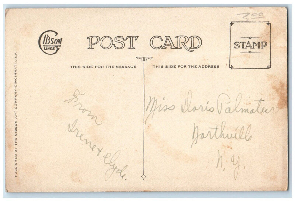 c1910's Valentine Pretty Girl Hearts Flowers Gibson Posted Antique Postcard