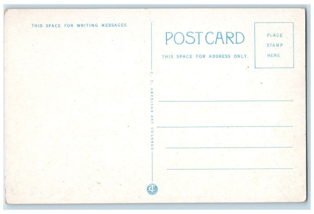 Central M.E. Church Hotel Wolverine And Y.M.C.A. Detroit Michigan MI Postcard