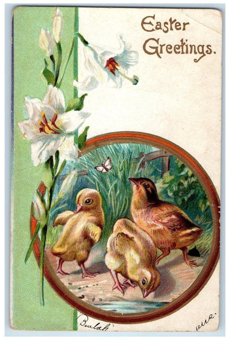 1907 Easter Greetings Chicks White Lilies Flowers Butterfly Antique Postcard